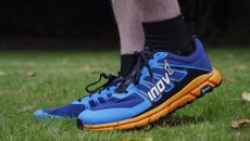 Inov-8 Trailfly G270 V2 trail running shoes worn, on grass